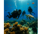 VIBE DIVE – Scuba & Snorkeling in Tenerife