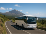 Island Tour