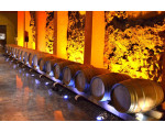 Ruta Del Vino