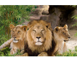 Loro Parque