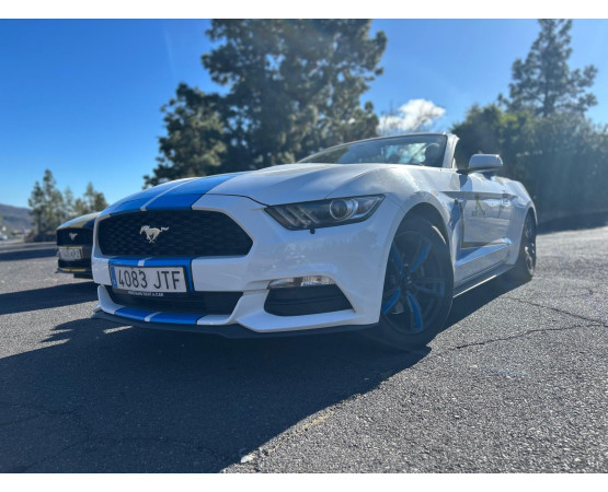 Mustang Tour