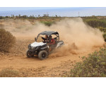 Tour in Buggy