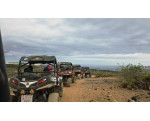 Tour in Buggy