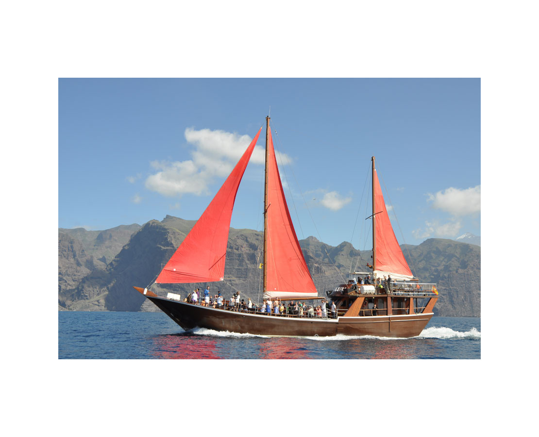 Neptuno whale watching tour