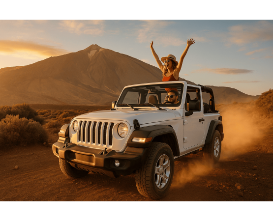 Jeep tour Teide and south coast