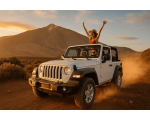 Jeep tour Teide and south coast