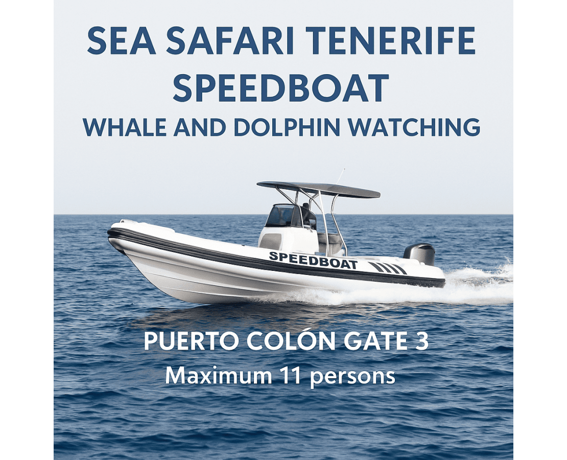 SEA SAFARI TENERIFE – Excursión en Lancha Rápida