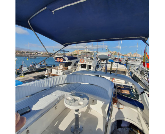 Mokai – Luxury Boat Trip (Animal Encounters)
