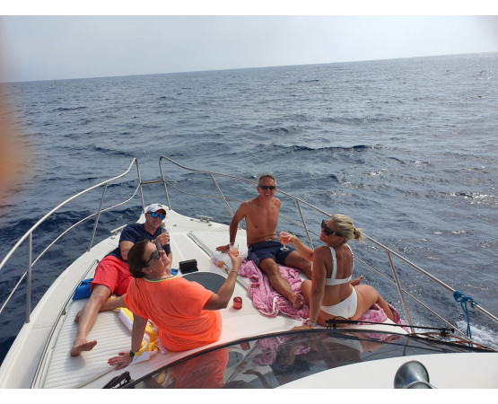 Mokai – Luxury Boat Trip (Animal Encounters)
