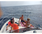 Mokai – Luxury Boat Trip (Animal Encounters)