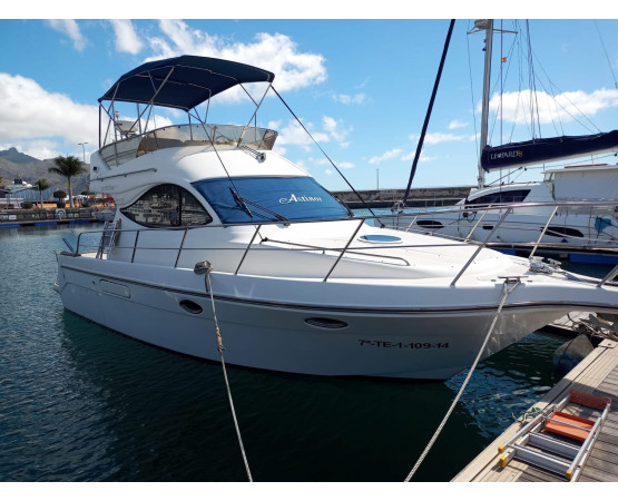 Mokai – Luxury Boat Trip (Animal Encounters)